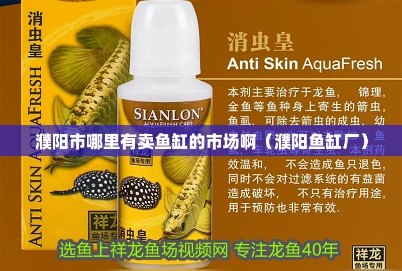 濮陽市哪里有賣魚缸的市場?。ㄥш桇~缸廠） 濮陽市哪里有賣魚缸的市場啊（濮陽魚缸廠） 觀賞魚百科