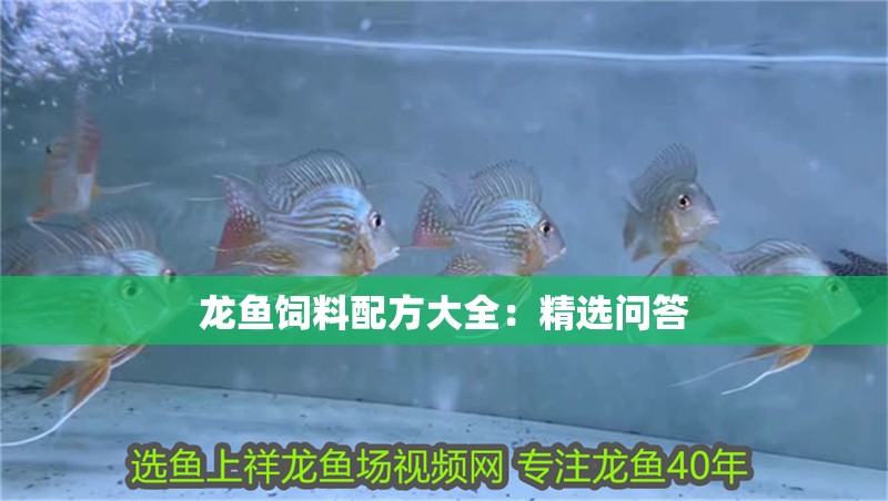 龍魚飼料配方大全：精選問答