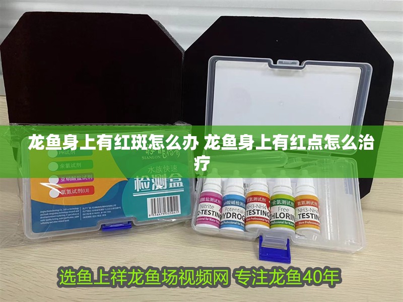 龍魚身上有紅斑怎么辦 龍魚身上有紅點怎么治療