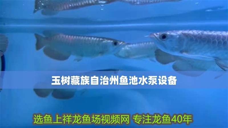 玉樹藏族自治州魚池水泵設備