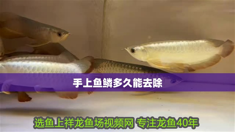 手上魚鱗多久能去除