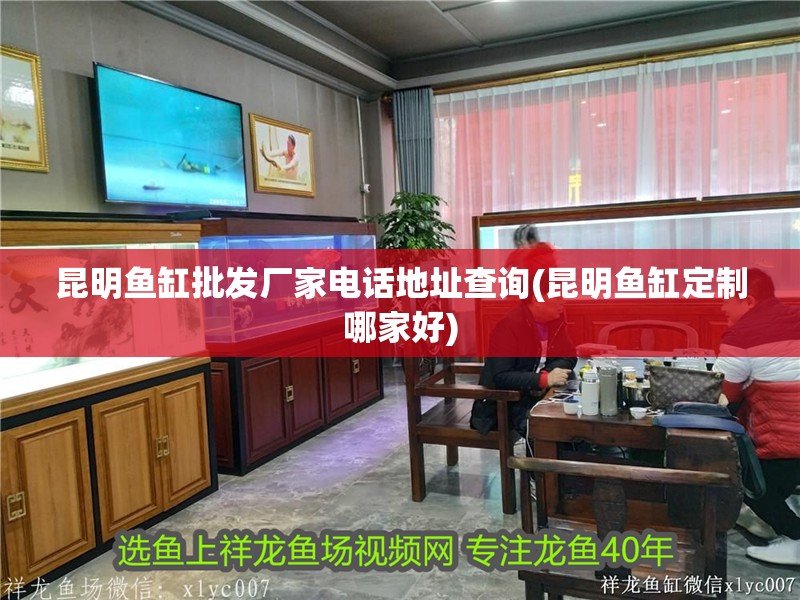 昆明魚缸批發廠家電話地址查詢(昆明魚缸定制哪家好)