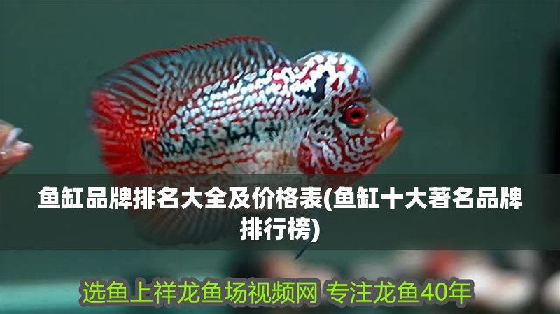 魚缸品牌排名大全及價(jià)格表(魚缸十大著名品牌排行榜)
