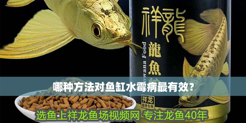 哪種方法對魚缸水霉病最有效？