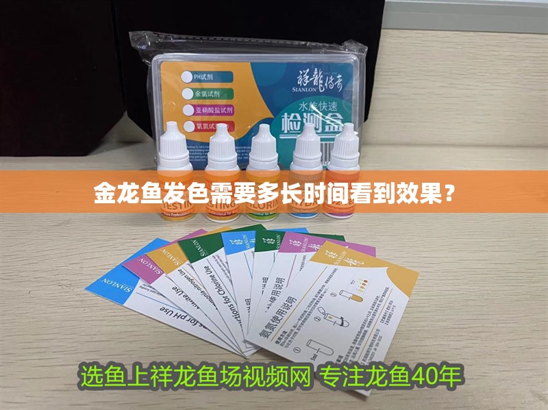 給大魚缸換水的作文:體驗給大魚缸換水的樂趣:體驗給大魚缸換水:給大魚缸換水的作文 金龍魚發(fā)色需要多長時間看到效果? 龍魚百科 金龍魚發(fā)色需要多長時間看到效果? 金龍魚發(fā)色需要多長時間看到效果? 龍魚百科