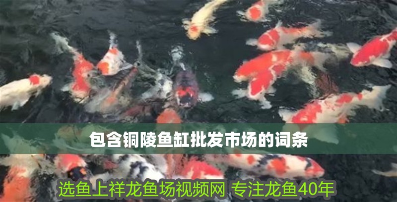 包含銅陵魚缸批發市場的詞條