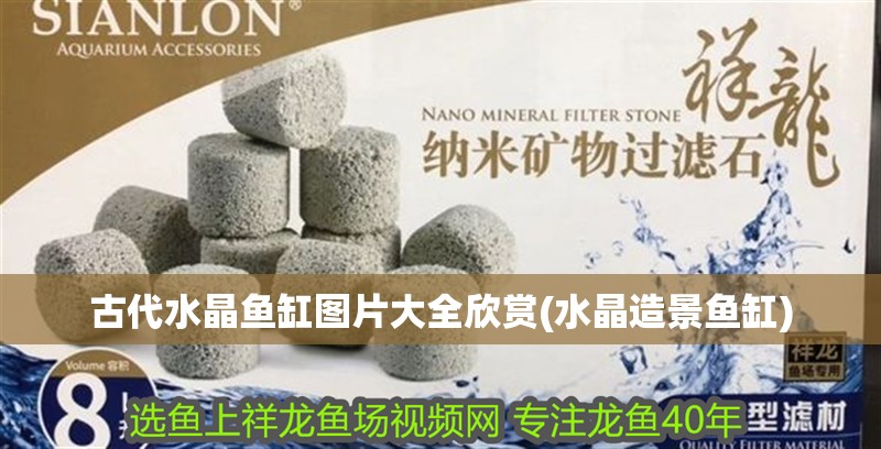 古代水晶魚缸圖片大全欣賞(水晶造景魚缸)