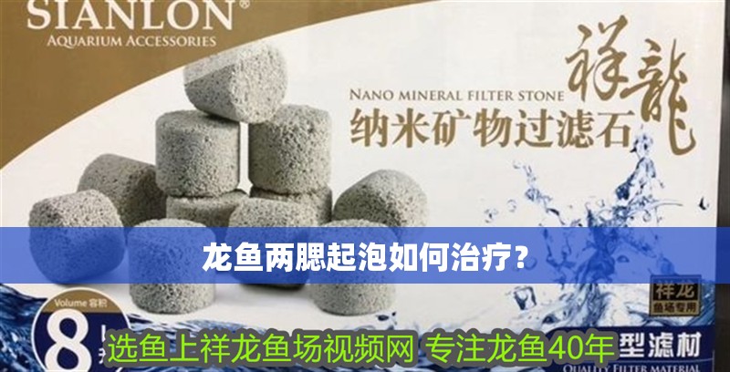 龍魚兩腮起泡如何治療？