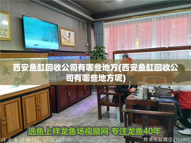西安魚缸回收公司有哪些地方(西安魚缸回收公司有哪些地方呢)