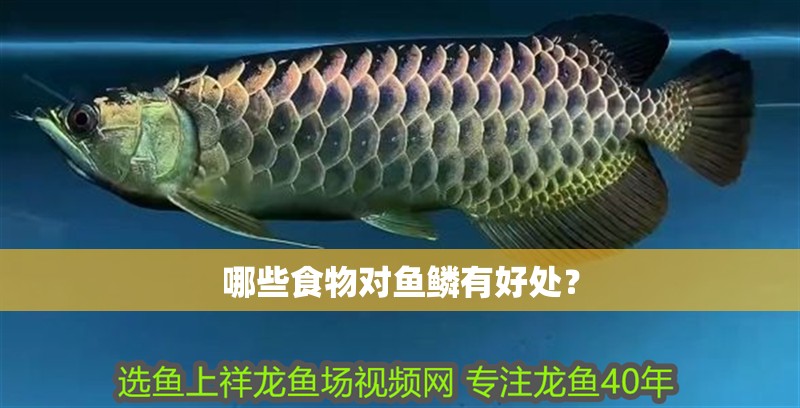 哪些食物對(duì)魚(yú)鱗有好處？