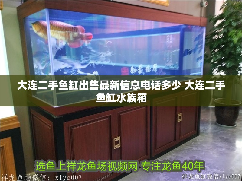 大連二手魚缸出售最新信息電話多少 大連二手魚缸水族箱