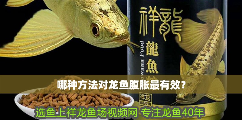 哪種方法對龍魚腹脹最有效？