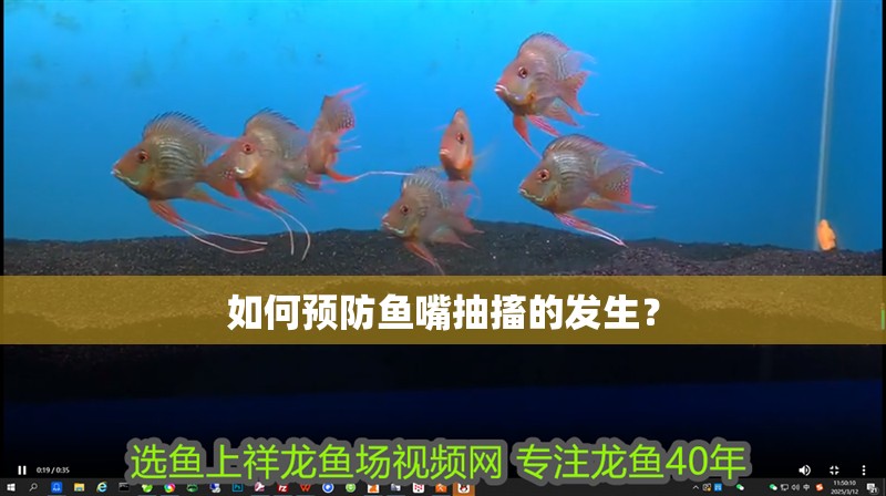 如何預防魚嘴抽搐的發生？