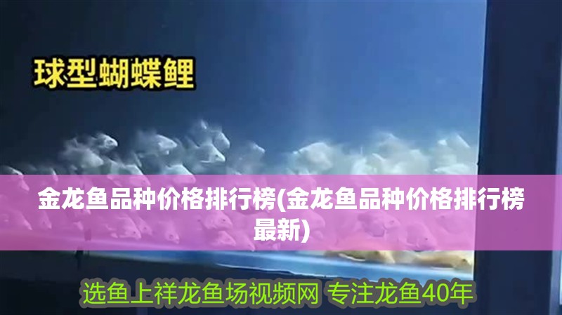 金龍魚品種價格排行榜(金龍魚品種價格排行榜最新)