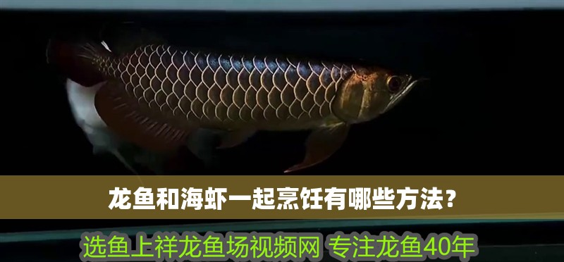 龍魚和海蝦一起烹飪有哪些方法？