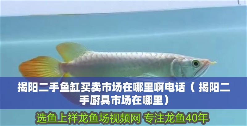 揭陽二手魚缸買賣市場(chǎng)在哪里啊電話（ 揭陽二手廚具市場(chǎng)在哪里） 揭陽二手魚缸買賣市場(chǎng)在哪里啊電話（ 揭陽二手廚具市場(chǎng)在哪里） 觀賞魚百科