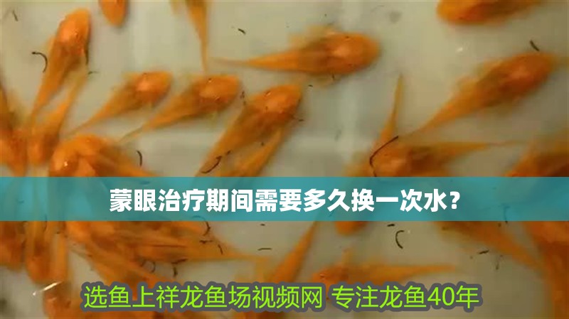 蒙眼治療期間需要多久換一次水？