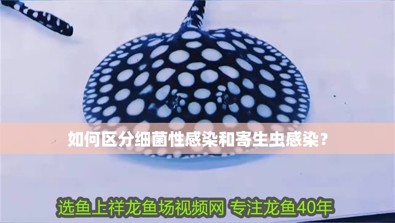 如何區分細菌性感染和寄生蟲感染？