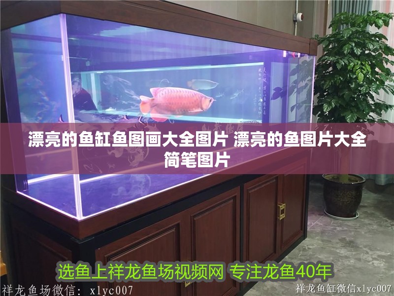 漂亮的魚缸魚圖畫大全圖片 漂亮的魚圖片大全簡筆圖片