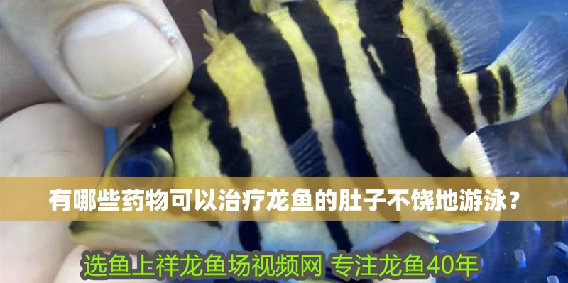 有哪些藥物可以治療龍魚的肚子不饒地游泳？