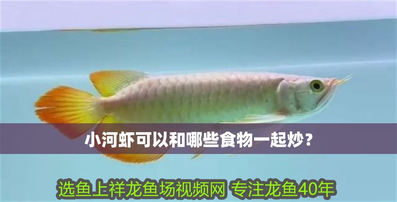 小河蝦可以和哪些食物一起炒？