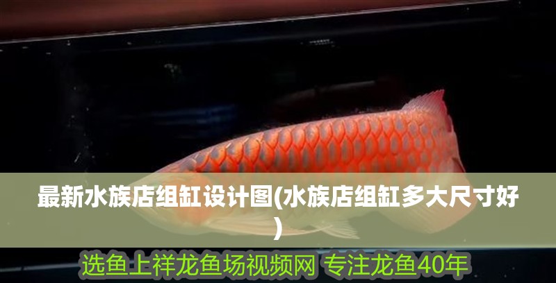 最新水族店組缸設計圖(水族店組缸多大尺寸好)