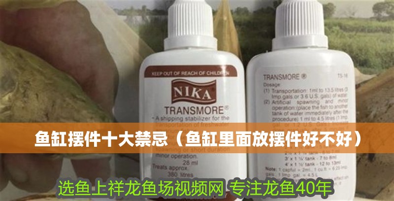 魚缸擺件十大禁忌（魚缸里面放擺件好不好）