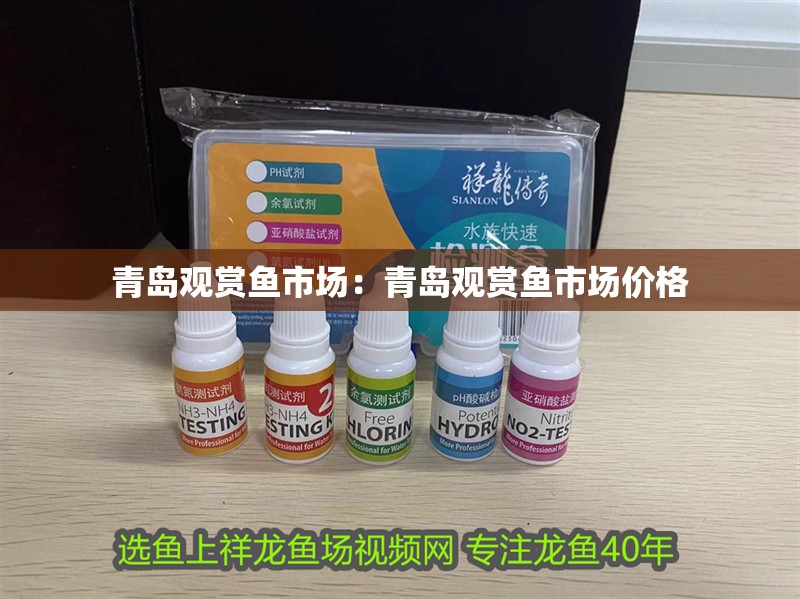 青島觀賞魚市場：青島觀賞魚市場價格