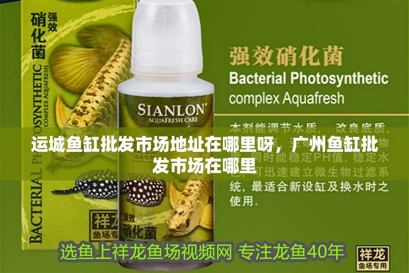 運(yùn)城魚(yú)缸批發(fā)市場(chǎng)地址在哪里呀，廣州魚(yú)缸批發(fā)市場(chǎng)在哪里