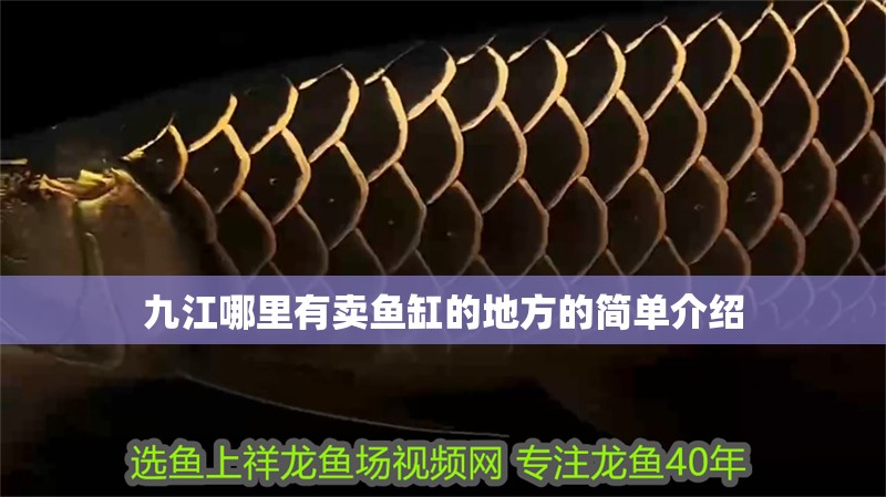 九江哪里有賣魚缸的地方的簡單介紹