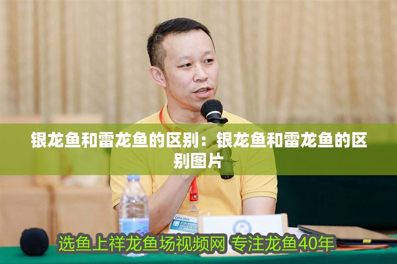 銀龍魚和雷龍魚的區(qū)別：銀龍魚和雷龍魚的區(qū)別圖片