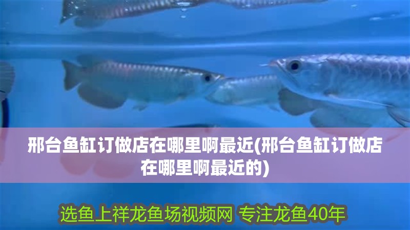 邢臺(tái)魚(yú)缸訂做店在哪里啊最近(邢臺(tái)魚(yú)缸訂做店在哪里啊最近的)