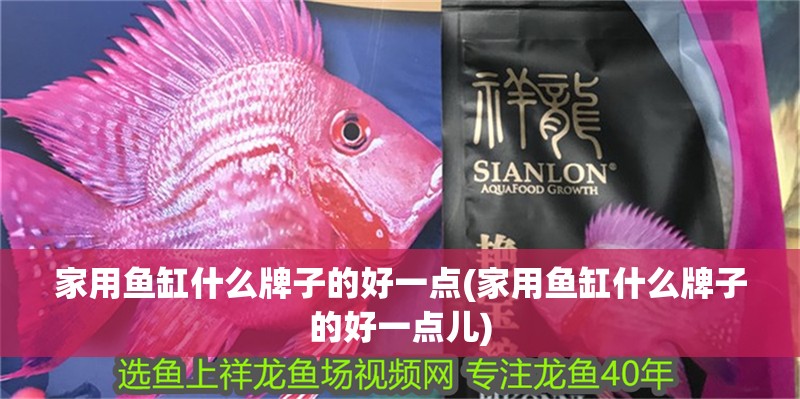 家用魚缸什么牌子的好一點(diǎn)(家用魚缸什么牌子的好一點(diǎn)兒)