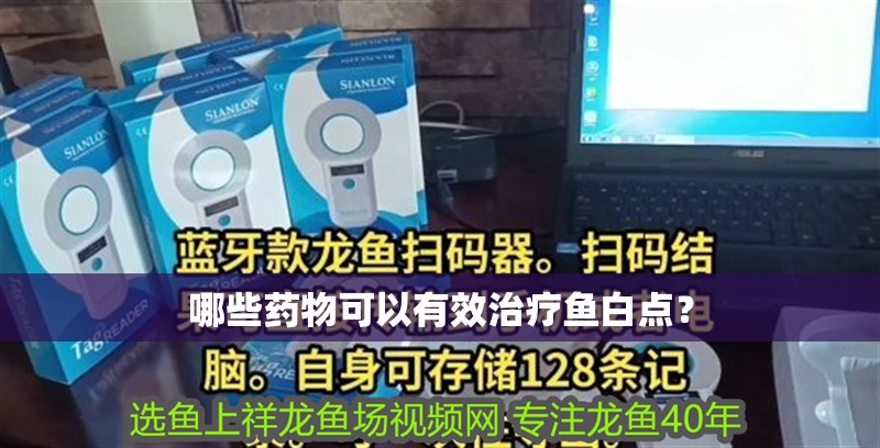 哪些藥物可以有效治療魚白點？