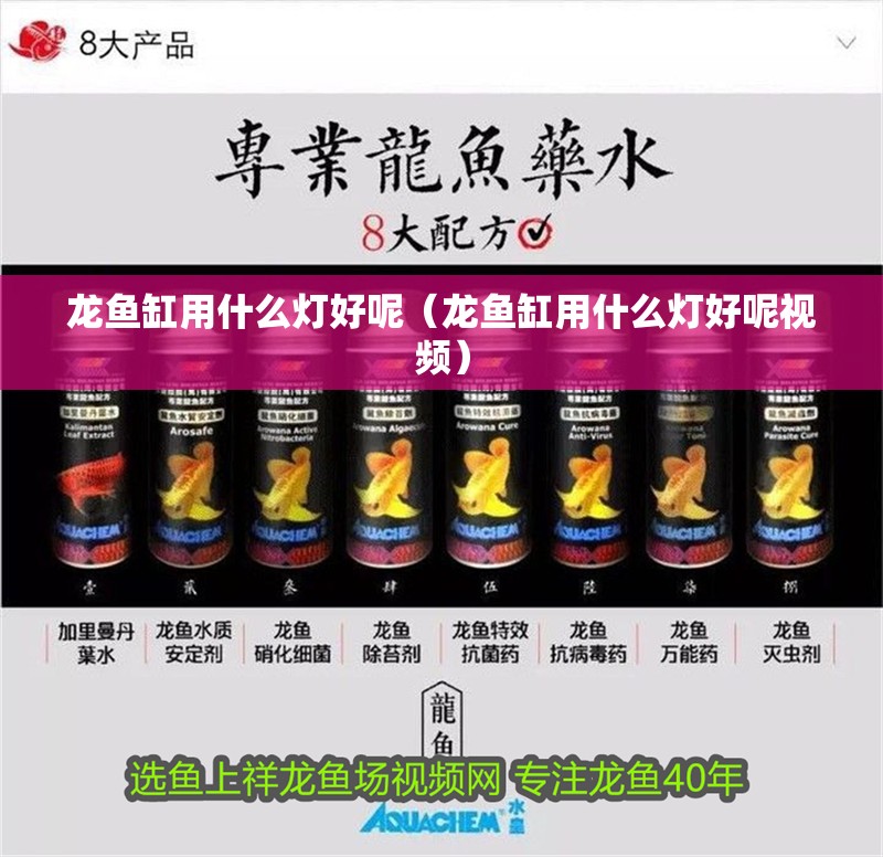 龍魚缸用什么燈好呢（龍魚缸用什么燈好呢視頻）