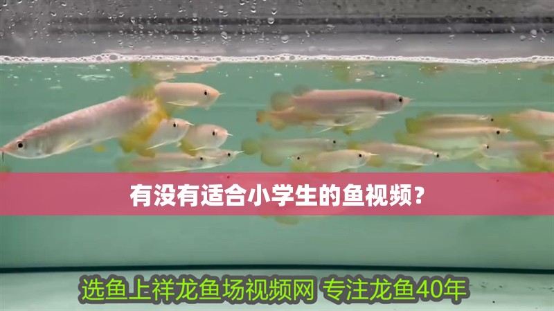 有沒有適合小學生的魚視頻？