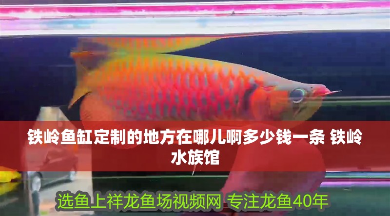 鐵嶺魚缸定制的地方在哪兒啊多少錢一條 鐵嶺水族館
