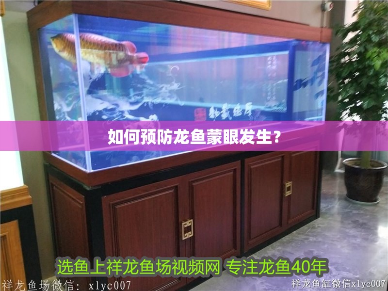 如何預防龍魚蒙眼發生？