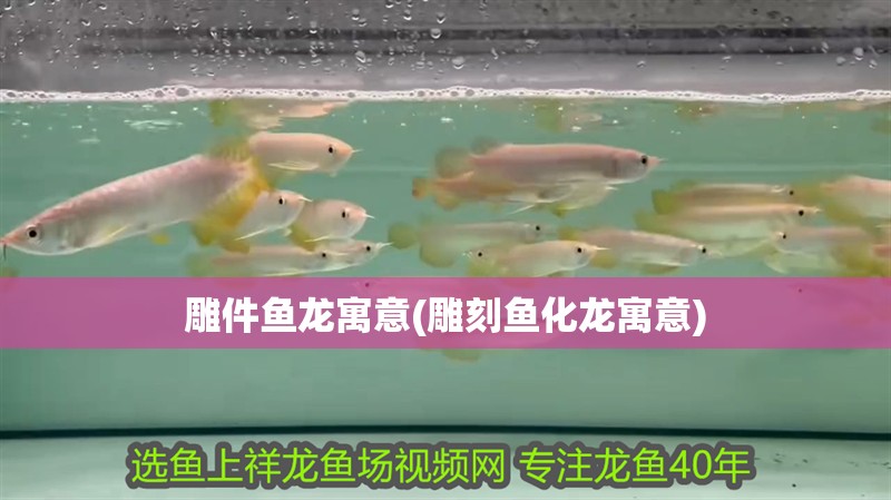 雕件魚龍寓意(雕刻魚化龍寓意)