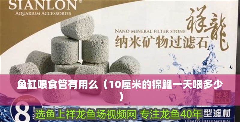 魚缸喂食管有用么（10厘米的錦鯉一天喂多少）