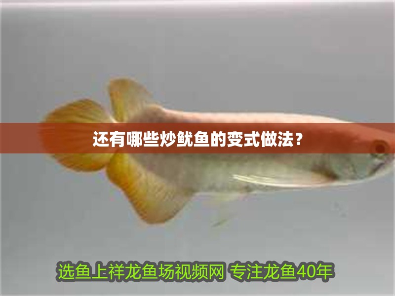 還有哪些炒魷魚的變式做法？