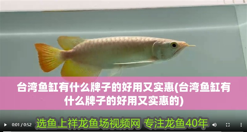 臺灣魚缸有什么牌子的好用又實惠(臺灣魚缸有什么牌子的好用又實惠的) 臺灣魚缸有什么牌子的好用又實惠(臺灣魚缸有什么牌子的好用又實惠的) 觀賞魚百科