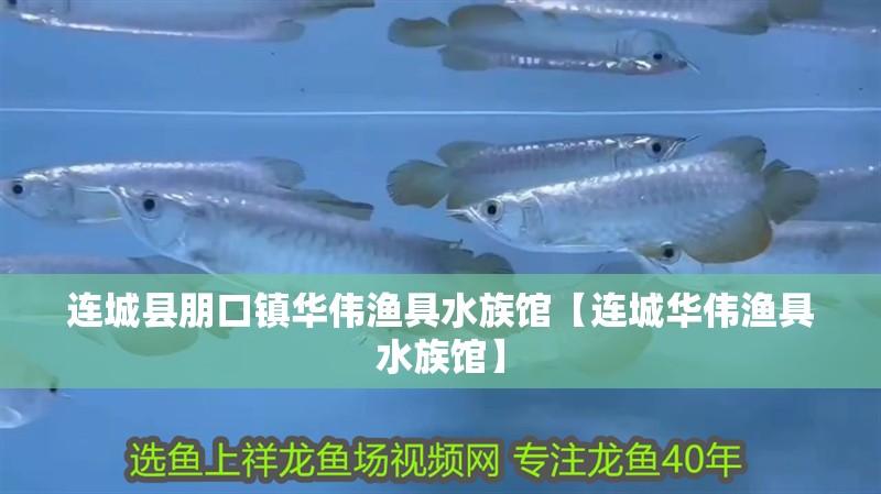 連城縣朋口鎮(zhèn)華偉漁具水族館【連城華偉漁具水族館】