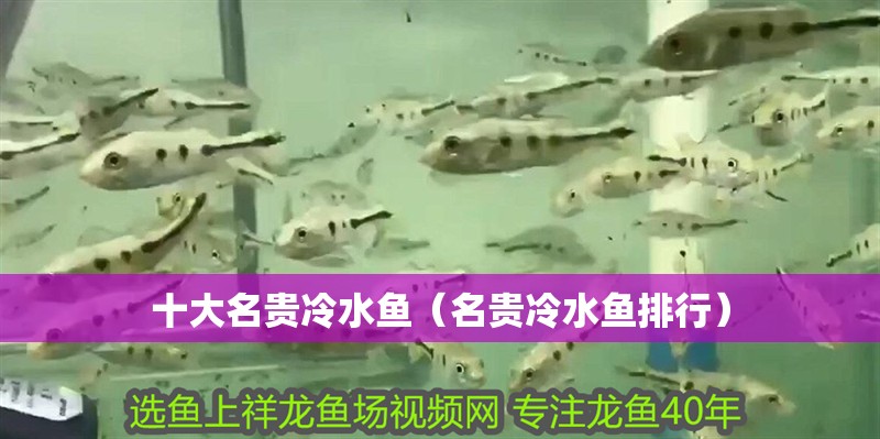 十大名貴冷水魚（名貴冷水魚排行）