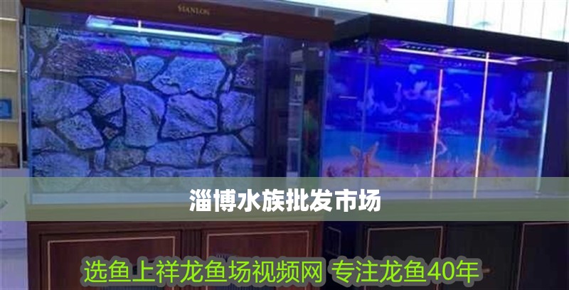 淄博水族批發(fā)市場