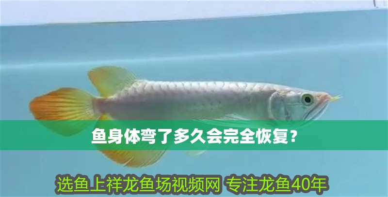 魚身體彎了多久會完全恢復？