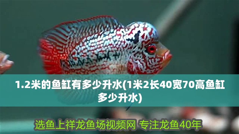 1.2米的魚缸有多少升水(1米2長40寬70高魚缸多少升水)