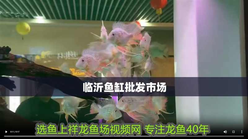 臨沂魚缸批發市場