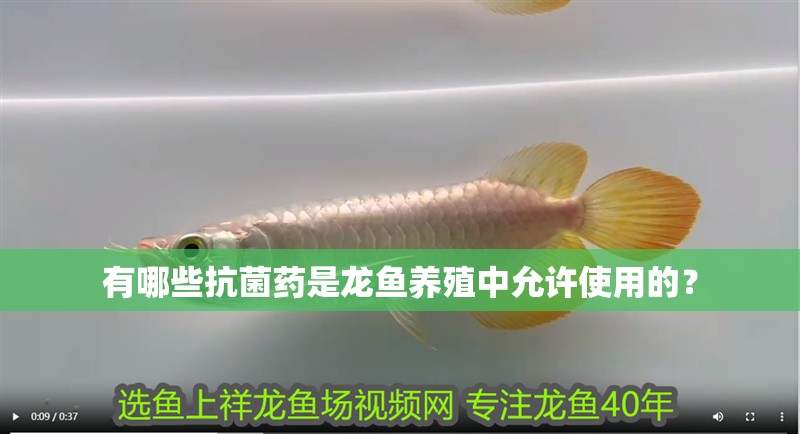 有哪些抗菌藥是龍魚養(yǎng)殖中允許使用的？