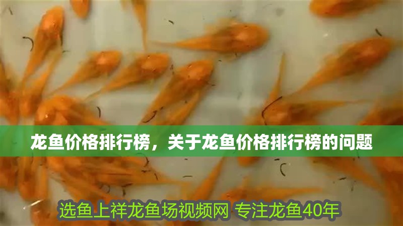 龍魚價格排行榜，關于龍魚價格排行榜的問題